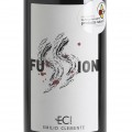 Fussion 2011