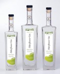 GIN_Shots
