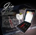 Presentacion-Gin-in-Tube-1-300x298