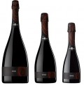 TORELLO ROSE