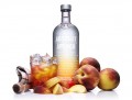 Tipos de Absolute Vodka13