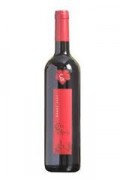 VINO COTO DE ARCIS BOBAL