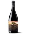 VINO GARNACHA OLVIDAD DE ARAGON