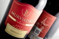 VINO MURVIEDRO COLECCION TEMPRANILLO
