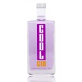 cool-gin