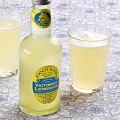 fentimans_1691689i