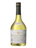 genevieve_bottle_intro_3