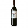 vino_sanz_4_xavos